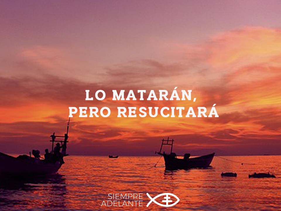 #EvangelioDelDía|  Mt 17, 22-27. Lo matarán, pero resucitará. Los hijos están exentos del impuesto. archisevillasiempreadelante.org/palabraviva-11…

#PalabraViva #SiempreAdelante