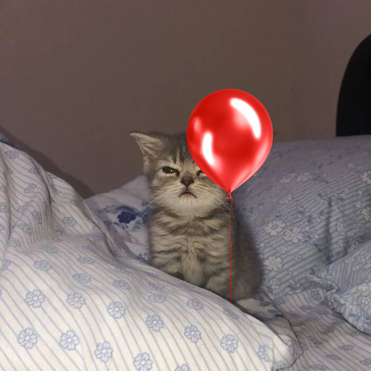 kai 🃏 tweet media