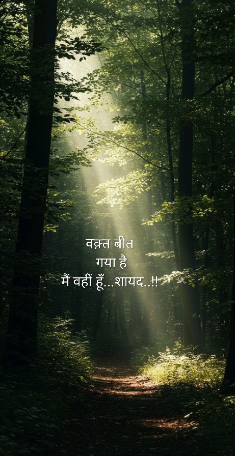 कुछ अजीब चल रहा है 
ये वक़्त का सफ़र...

एक गहरी ख़ामोशी है 
ख़ुद के ही अंदर..!!

#अज्ञात