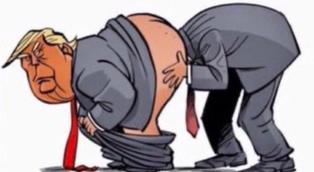 beagle2762's tweet image. 