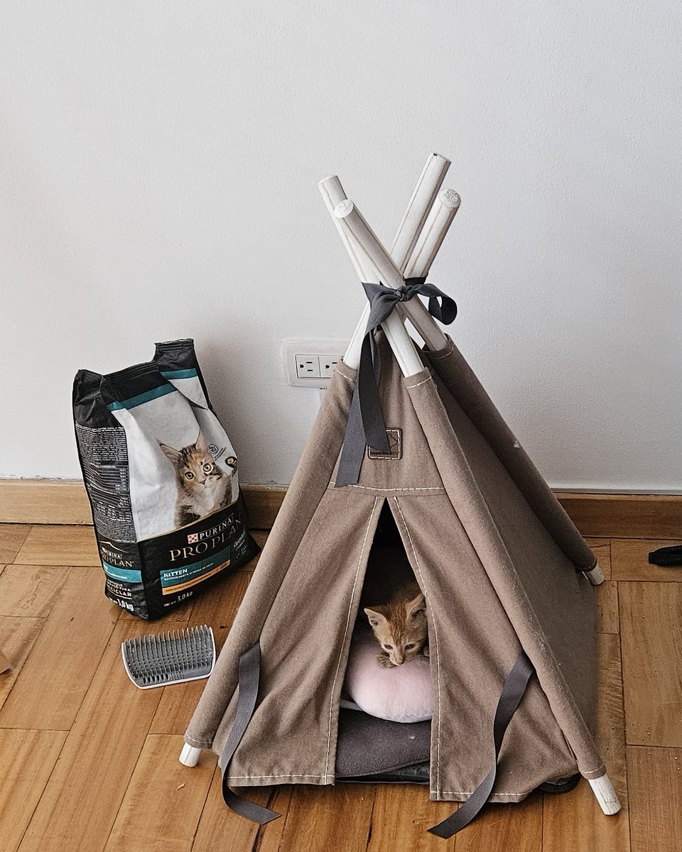 Julián A. Fernández-Niño MD, MPH, DSc. tweet media