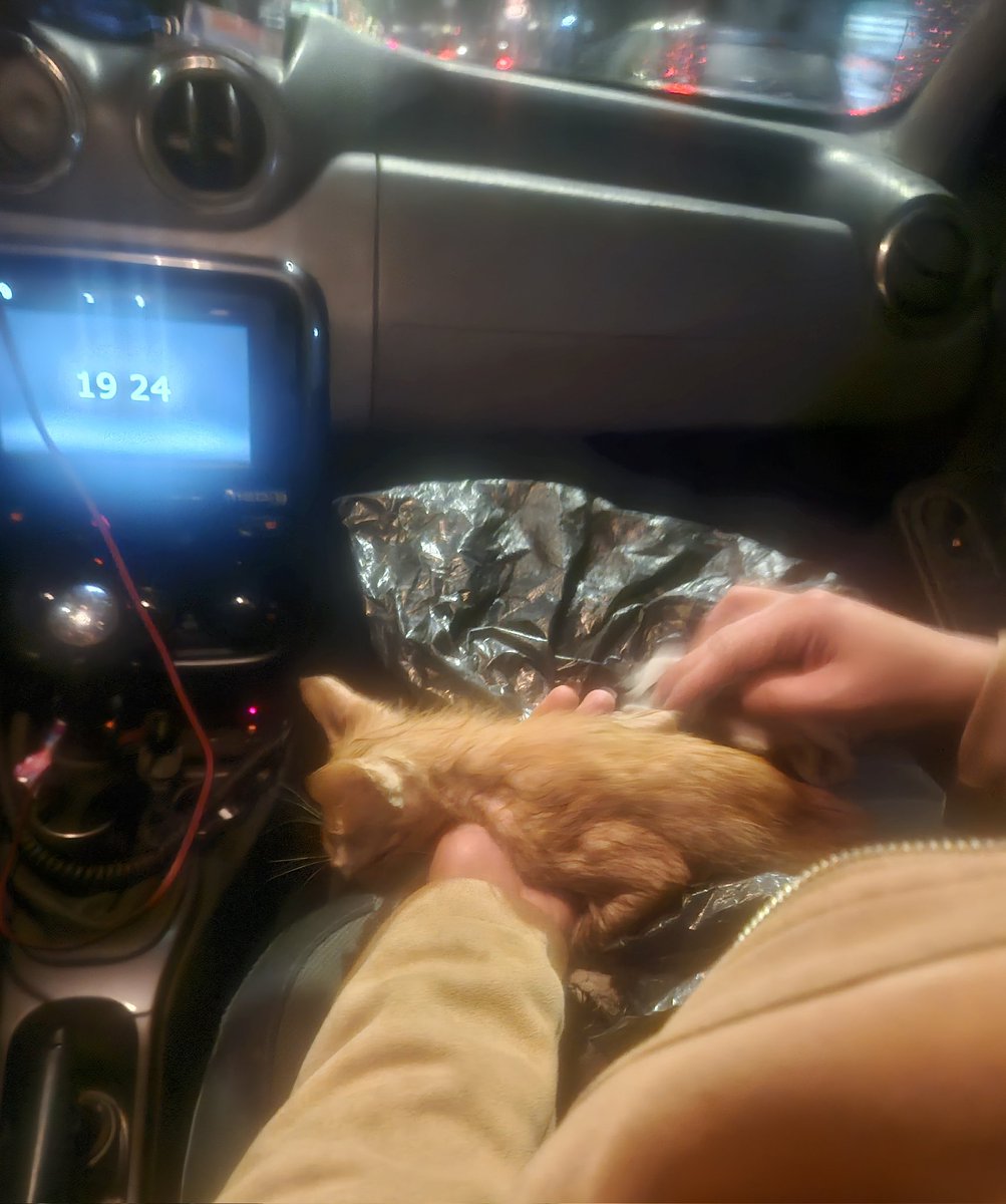 Julián A. Fernández-Niño MD, MPH, DSc. tweet media