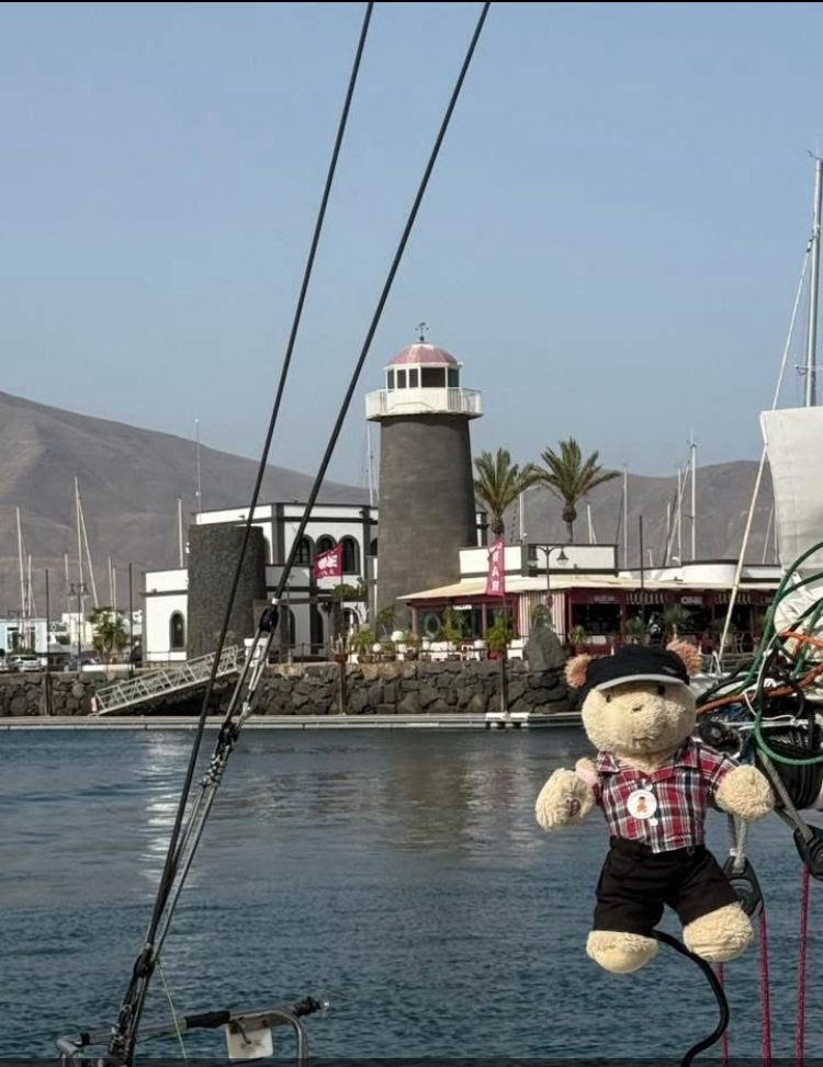 St Julie Catholic Primary School (@stjulieprimary) on Twitter photo Congratulations to our adventurer friend James, <a href="/CaptainKetch/">James Ketchell</a>, who has completed the first leg of his round the world sailing challenge. He reached Lanzarote with our bear Klopp.
You can follow his progress via the link.
jamesketchell.net/follow-james-r… Congratulations to our adventurer friend James, <a href="/CaptainKetch/">James Ketchell</a>, who has completed the first leg of his round the world sailing challenge. He reached Lanzarote with our bear Klopp.
You can follow his progress via the link.
jamesketchell.net/follow-james-r…