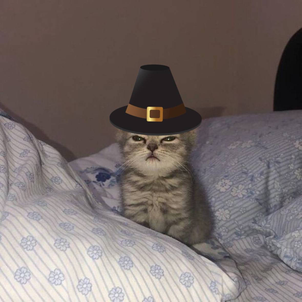 kai 🃏 tweet media