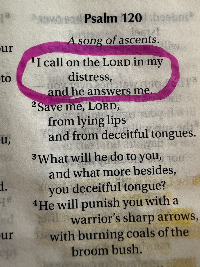 Bible 365 (@bible365_) on Twitter photo 