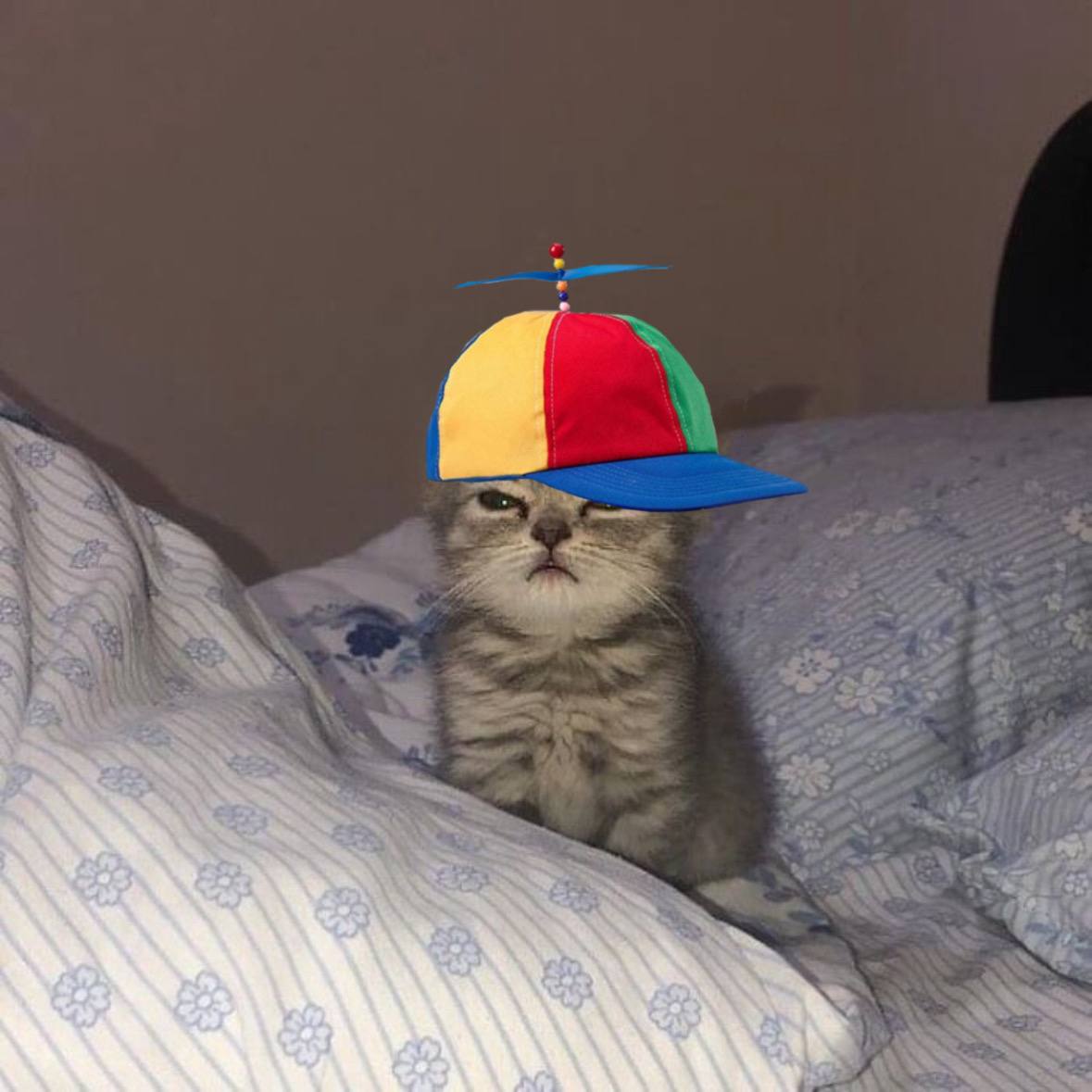 kai 🃏 tweet media