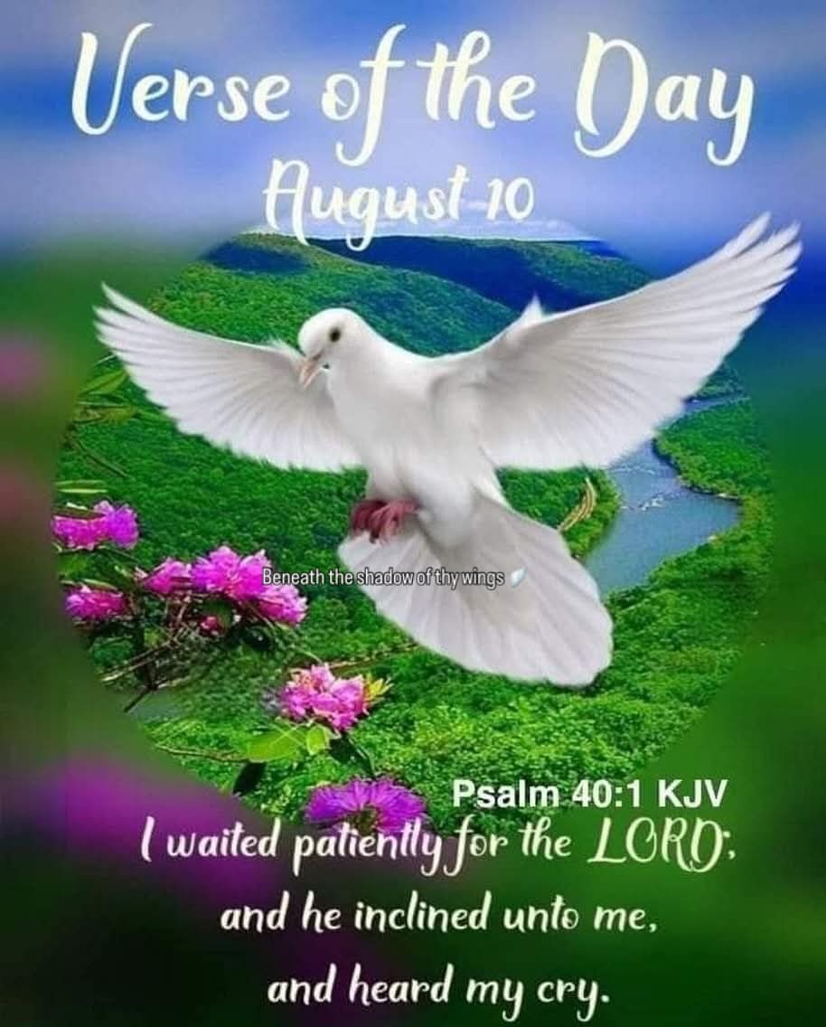 I waited patiently for the LORD, believing in His promises to help me. He turned to me in His mercy and heard my cry for help.