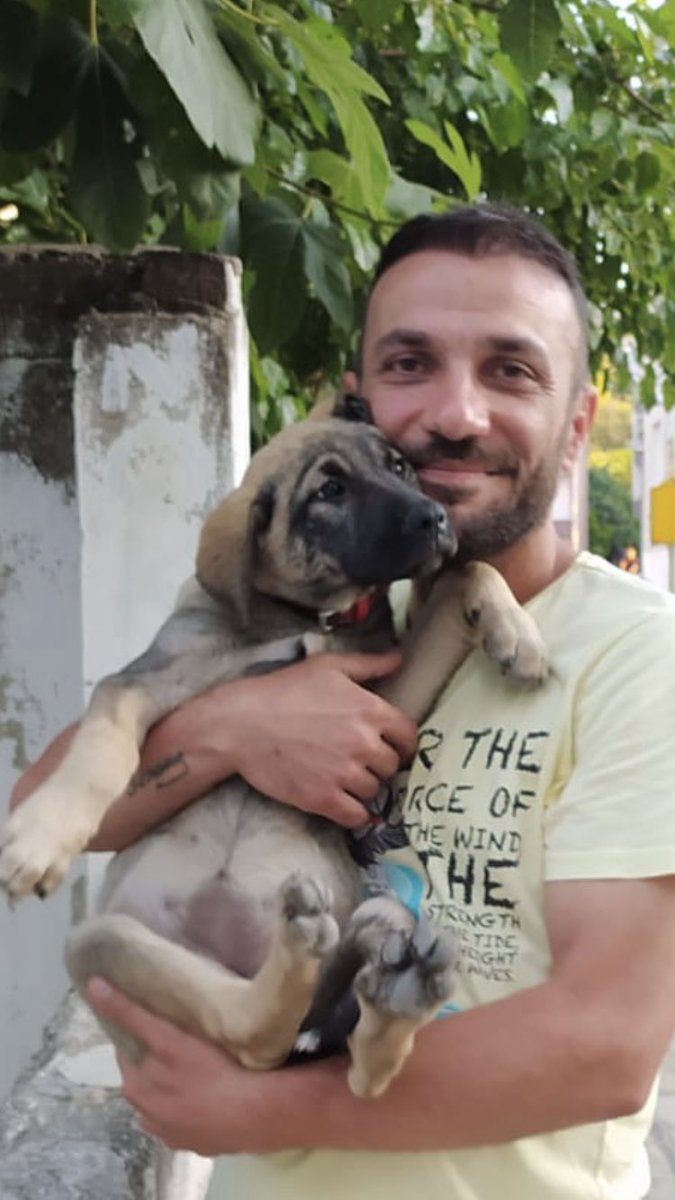Çok Yakında Bugün Öldürmek İçin Seferber Olduğunuz Bu Masumların,
NEFESİNE SICAKLIĞINA SESİNE Muhtaç Olacaksınız❗️
Toprak Altında Yardım İçin Beklediğinizde Sesinizi Bir Tek O Duyacak,
Ve Sizin Şeytan Olduğunuzu Unutup Yardımınıza İlk O Koşacak.
#DEPREM
