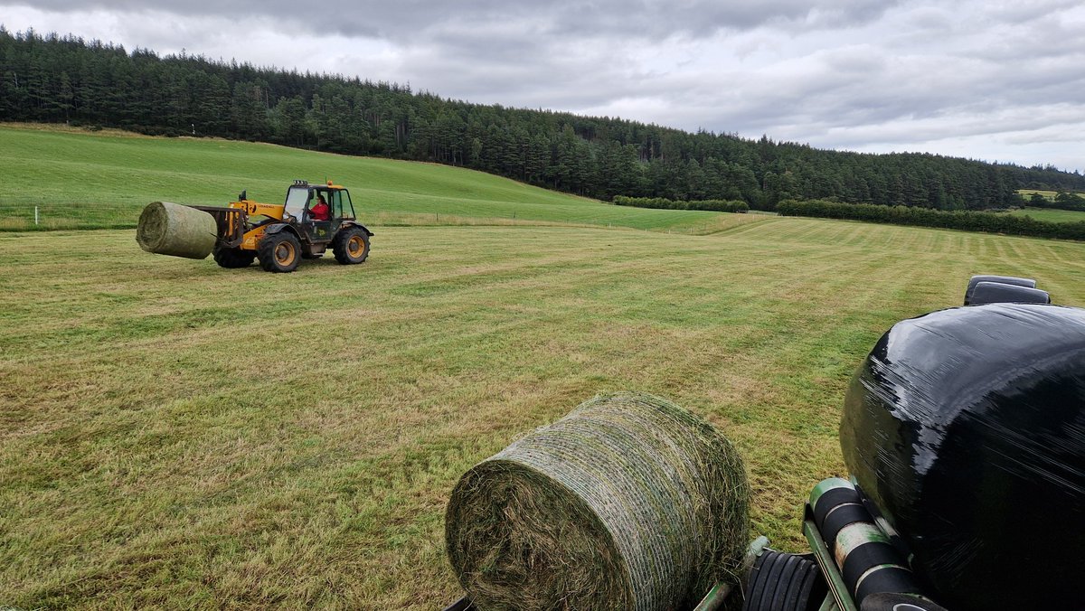 Family affair at the silage today.