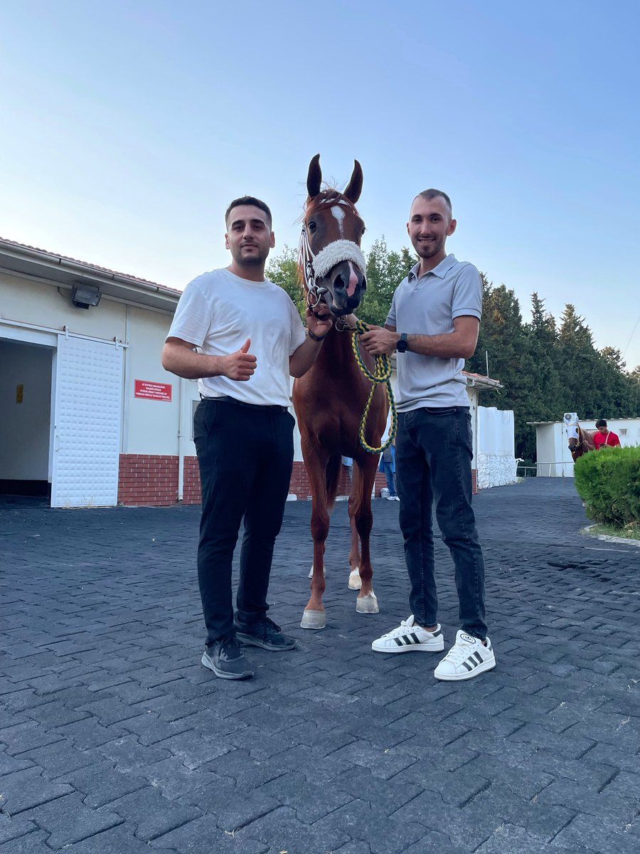 DİSTİLE🥇 Bütün ekibimizin eline sağlık.