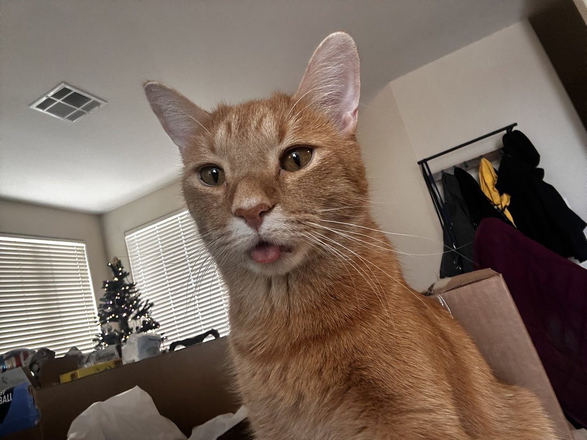 this type of makeup is just easier for me to do i'm not sure why... featuring my dads cat, Zidane