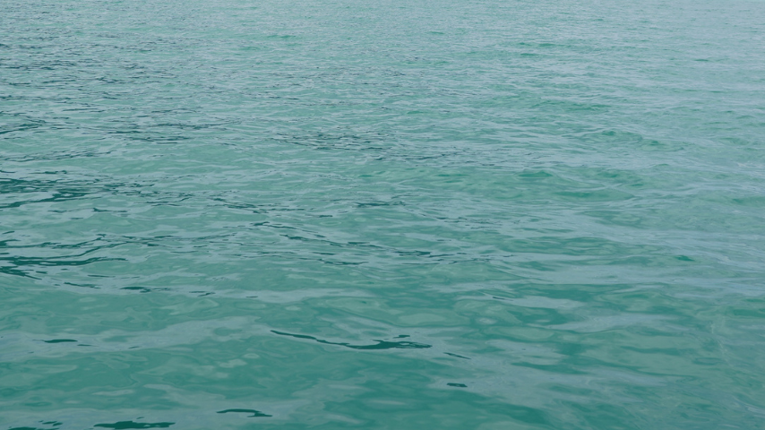 💧 #LacDuBourget | Une suspicion de présence de cyanobactéries a été signalée ce dimanche 10 août 2025 auprès de l’<a href="/ARS_ARA_SANTE/">ARS Auvergne-Rhône-Alpes</a> au lac du Bourget après que trois chiens ont présenté des symptômes suite à baignades sur les communes du Bourget-du-Lac, Viviers-du-lac et Vions.