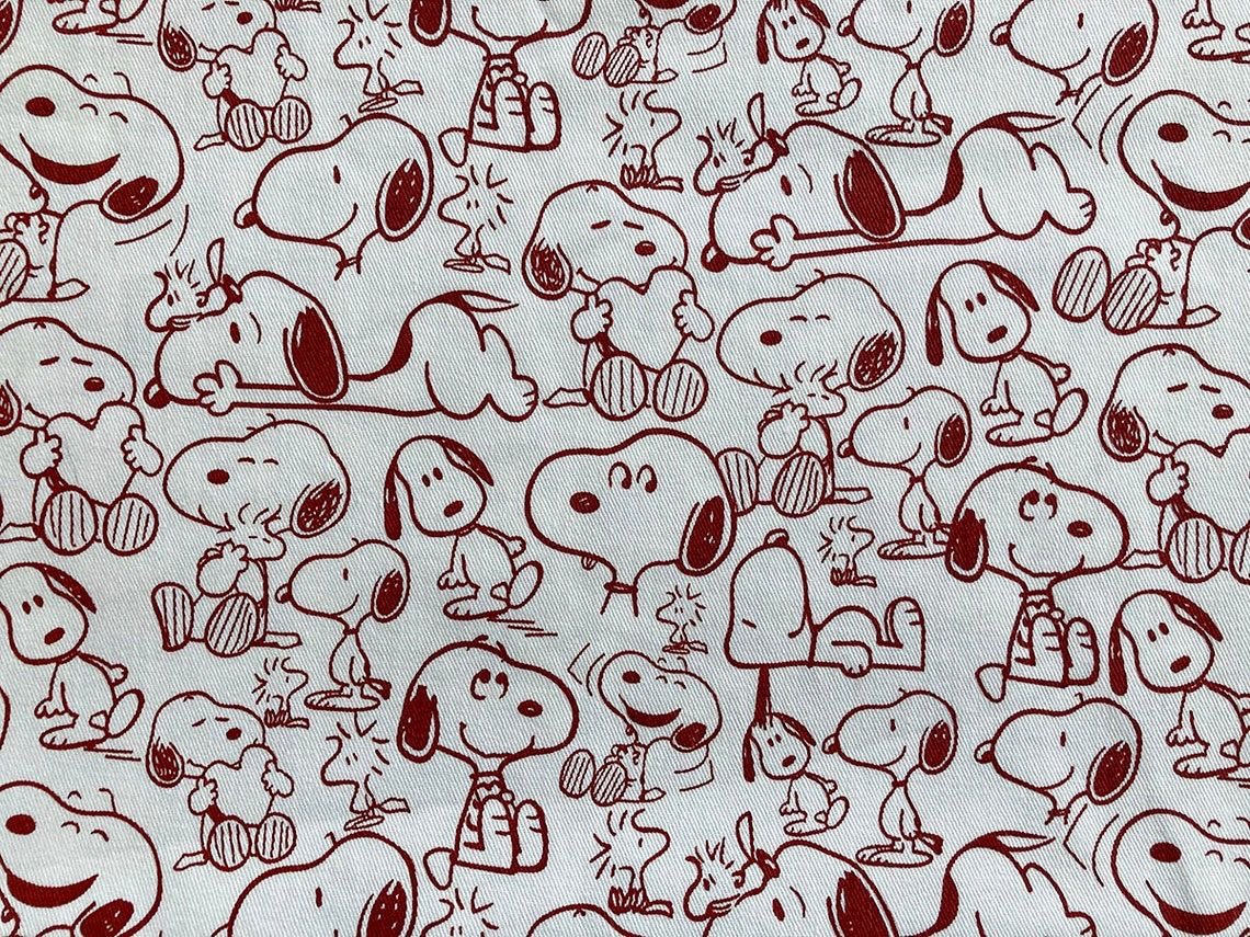 Daily Snoopy (@dailysnoopys) on Twitter photo 