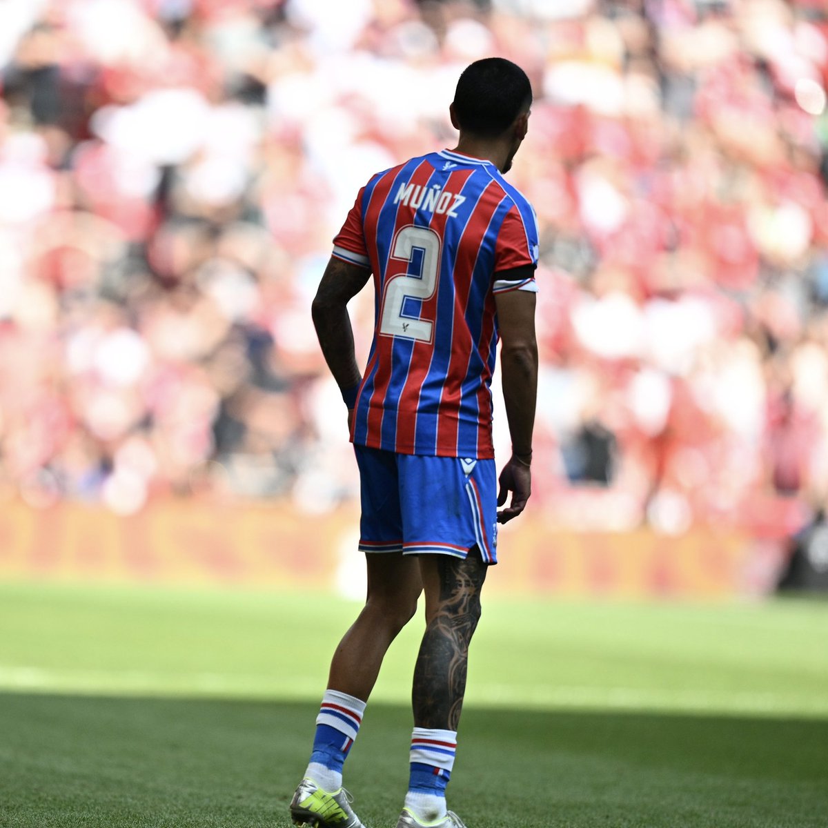 JvenesPromesas3's tweet photo. Una fiera competitiva Daniel Muñoz ⚒️fue campeón en el último tiempo con el Crystal Palace enfrentando al Manchester city y hoy frente al Liverpool 🏆🏆 para resaltar lo del también Colombiano Jefferson Lerma https://t.co/J3eoT1EIEP
