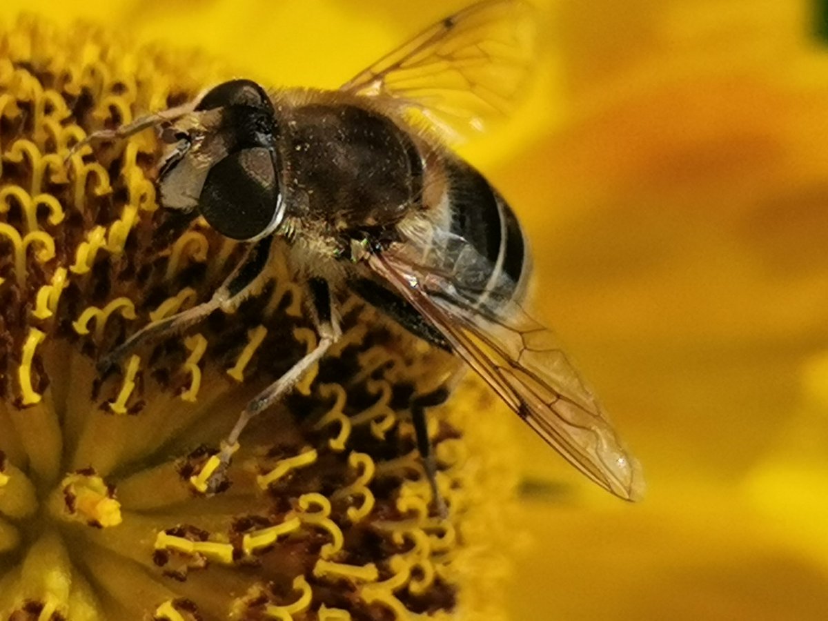 Neil Lawton tweet media