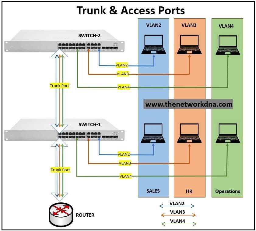 elormkdaniel's tweet image. Trunk &amp;amp; Access ports