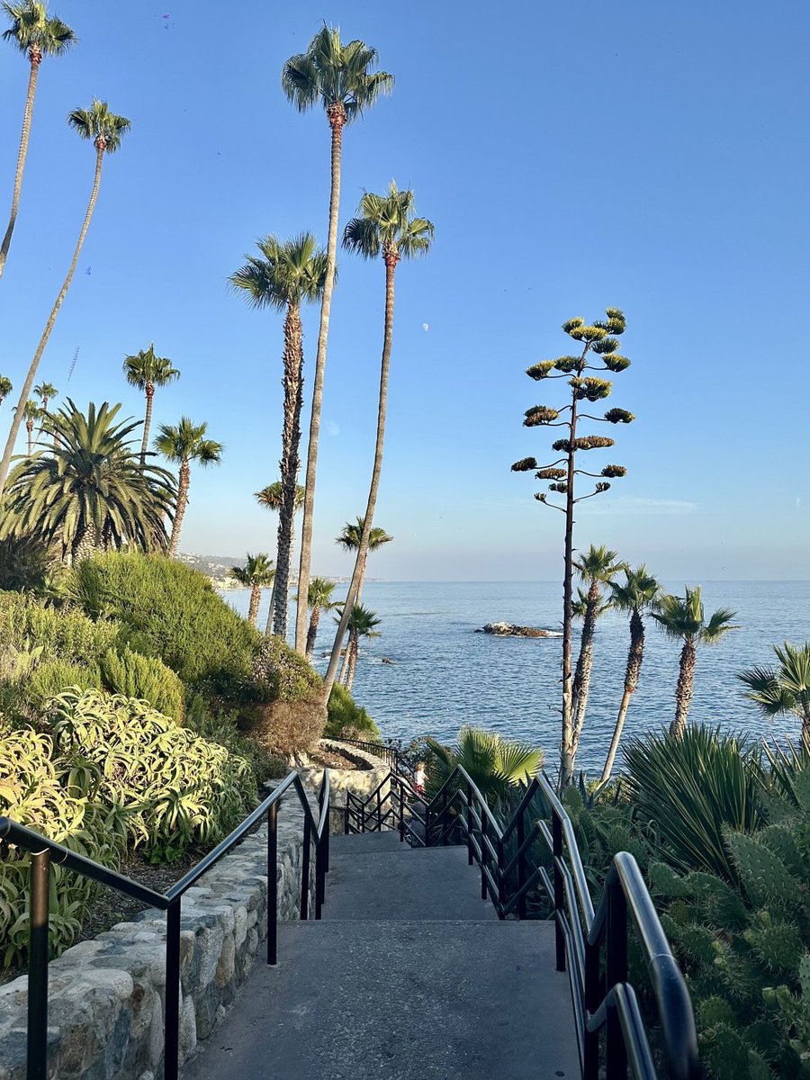 The most beautiful beach Laguna beach
#beach