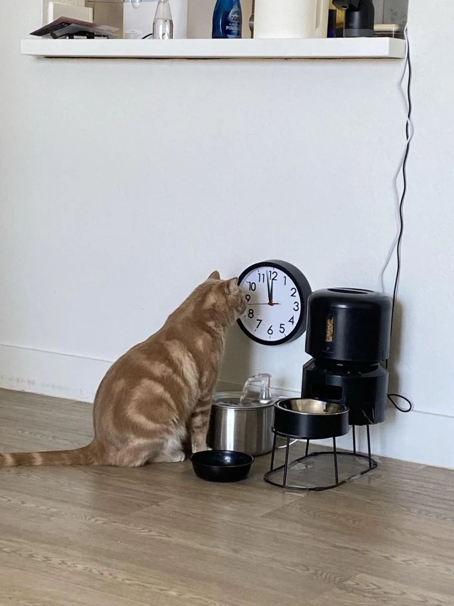 svip_vision's tweet photo. Is it lunch time yet? https://t.co/2TRj0Un9ma