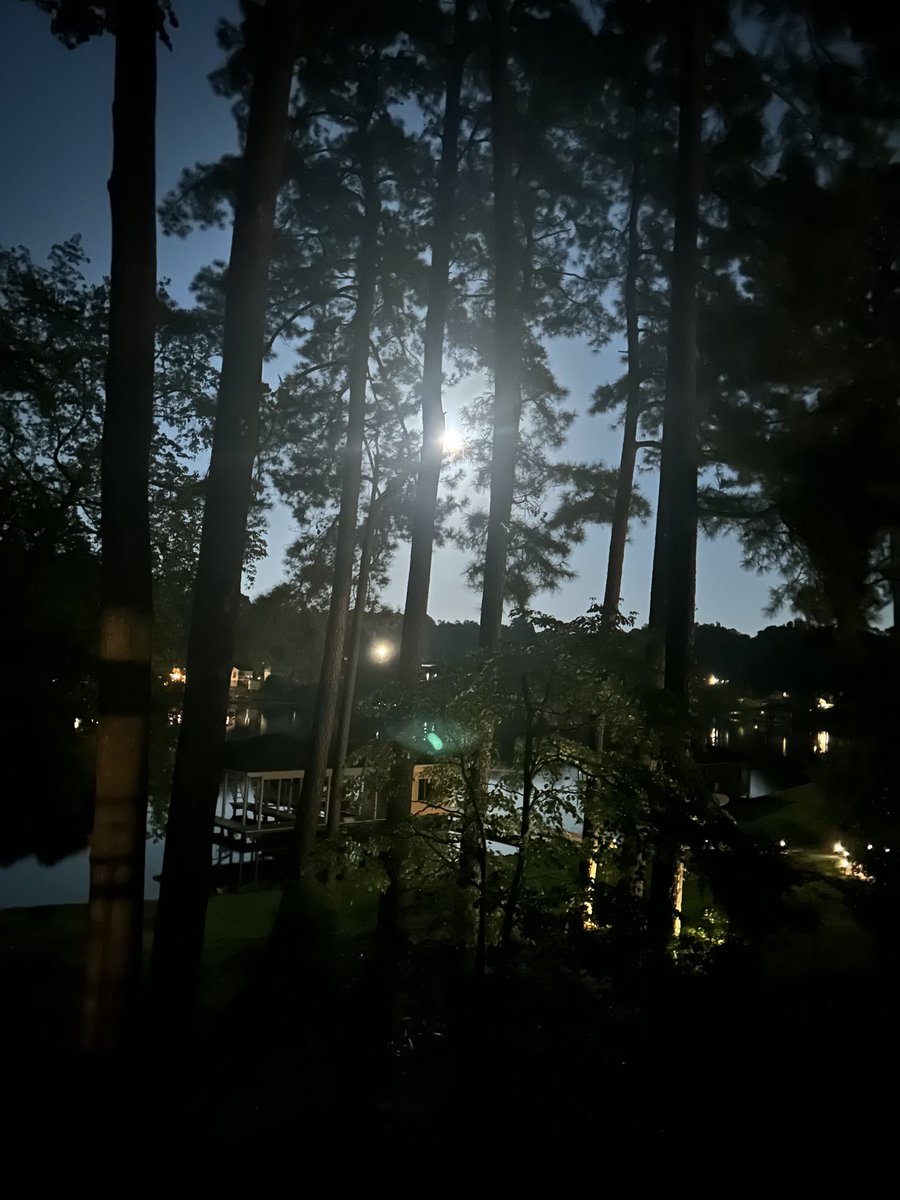 Kelly Cunningham tweet media