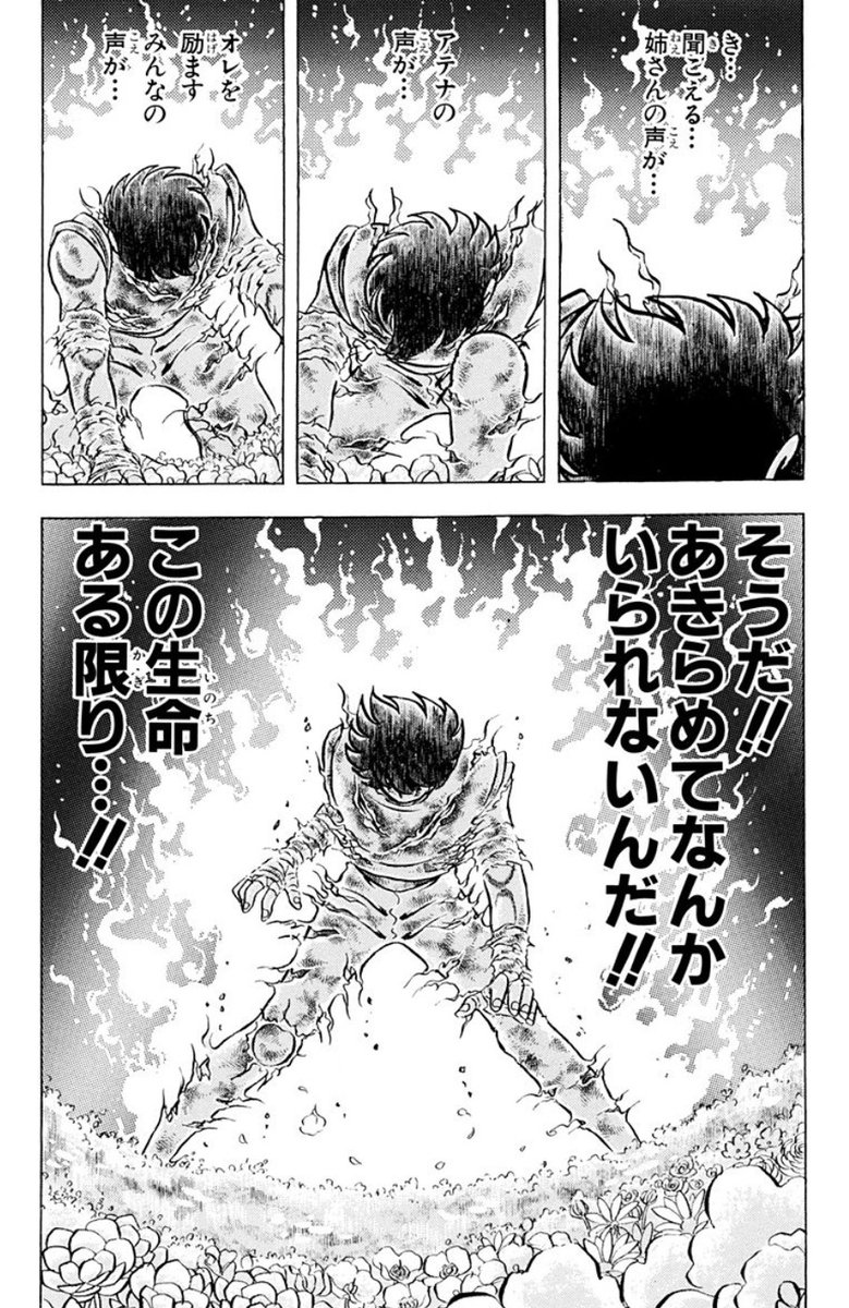 Saint Seiya
聖闘士星矢