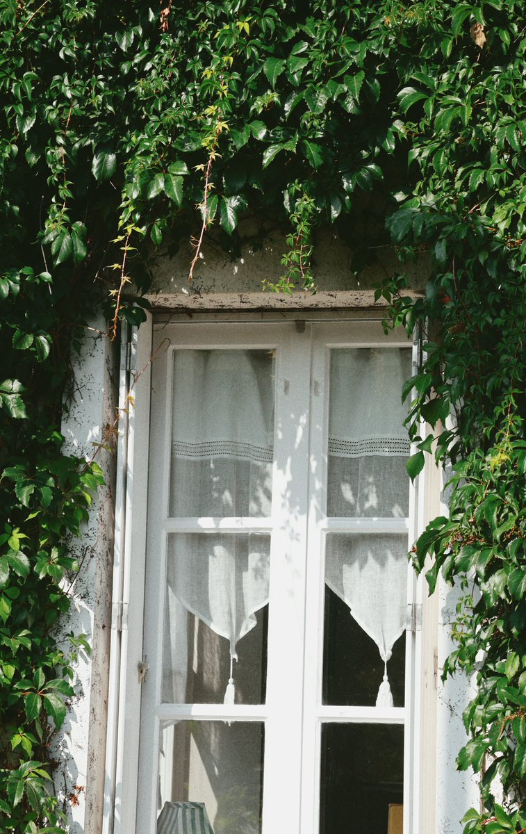 HoussinGuiom's tweet photo. Summer Light https://t.co/8LcOrLlkUW