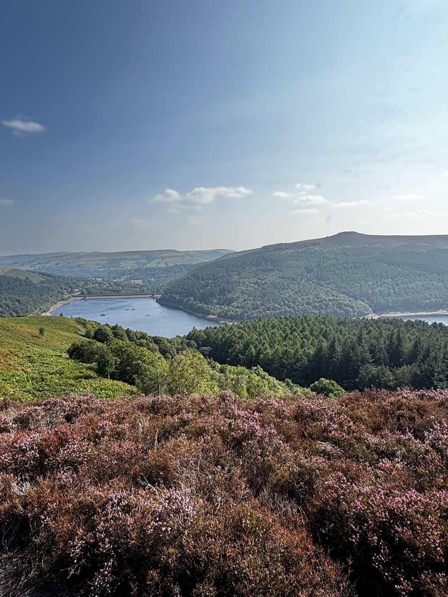 Whinstone Lee Tor on Derwent Edge looking a bit good today 

Peak District goodness