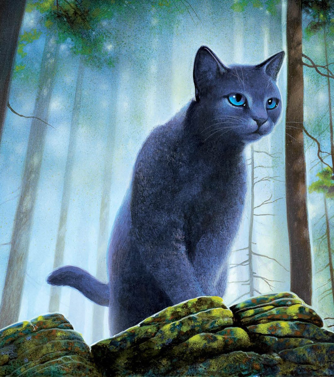 Taylor Swift will be voicing "Bluestar" in "WARRIORS: The Animated Series".