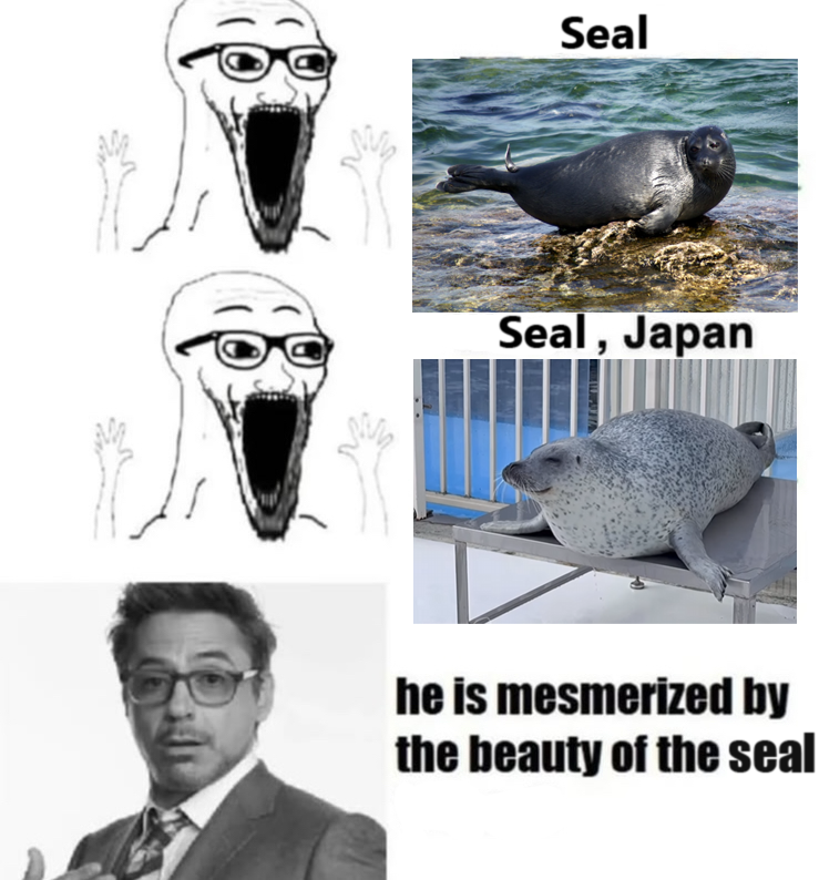 amy🦭 (@fat_nerpa) on Twitter photo 