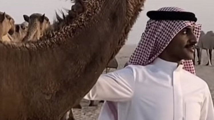 أشوفك من بعيد وتمتلي كل الدروب « ألغام »
واسوق الرجل صوبك ما تعبت ولا نشف ريقي.

- علي مسفر