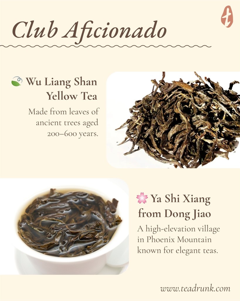 Tea Drunk tweet media