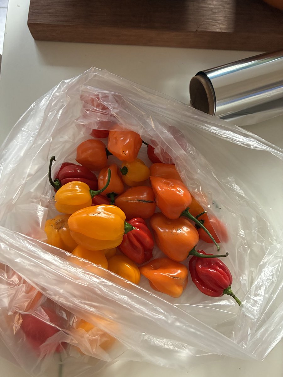 Comprados hoy en la feria. Son demoledores, pero para quien le guste el picante, sólo con uno de estos se hacen un mojo que sacude las papilas.