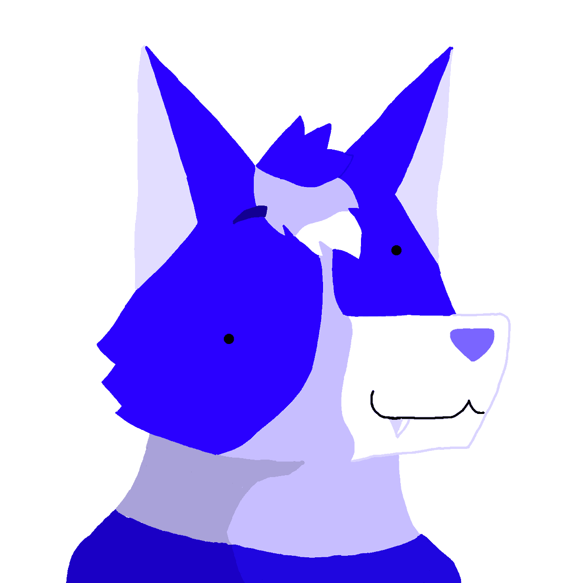 Lakely The Wusky tweet media