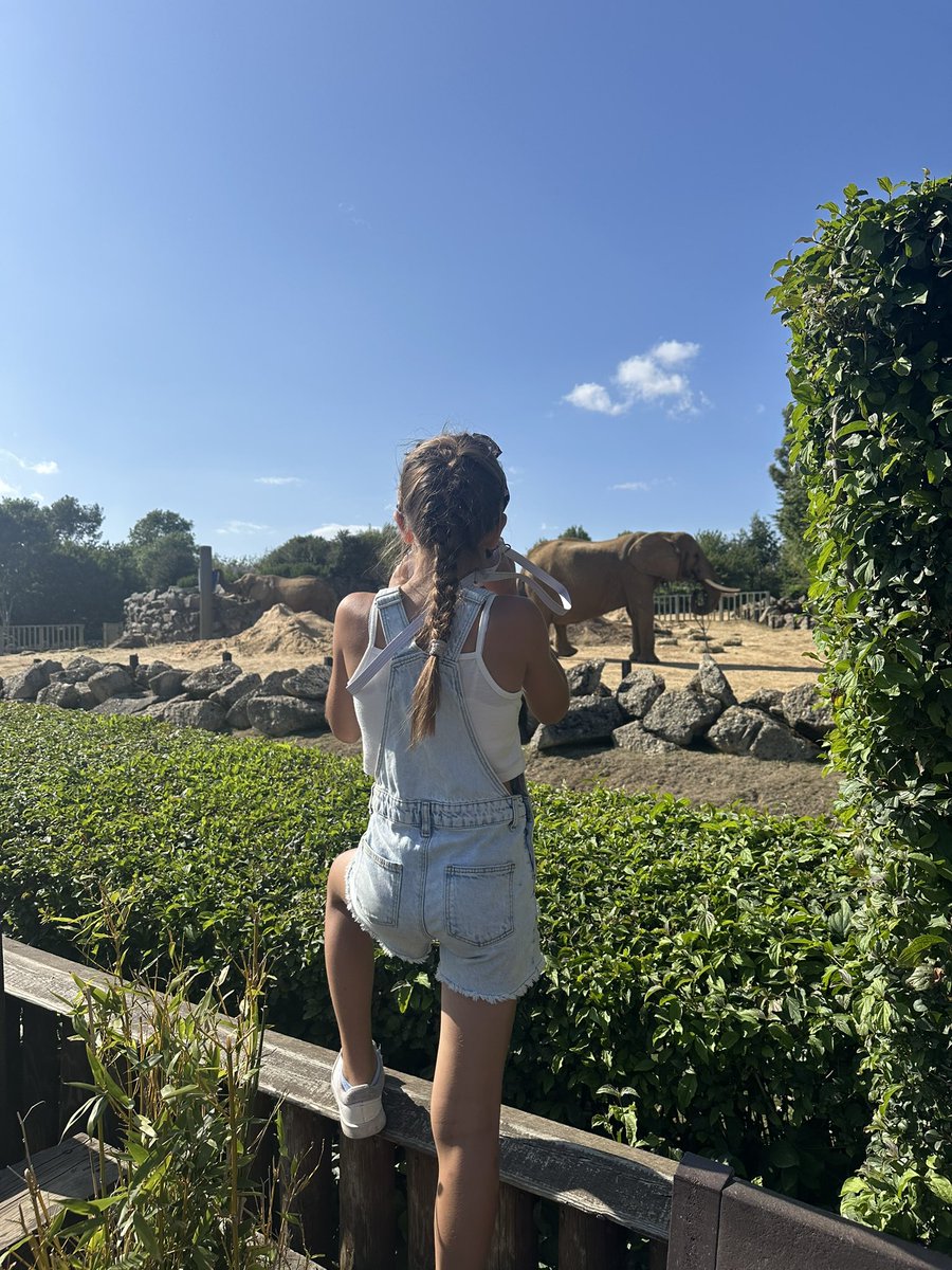 heatherlamb21's tweet photo. @LarchwoodPS caught this one trying to get the perfect shot for the summer challenge. https://t.co/n0fU6bzSsM
