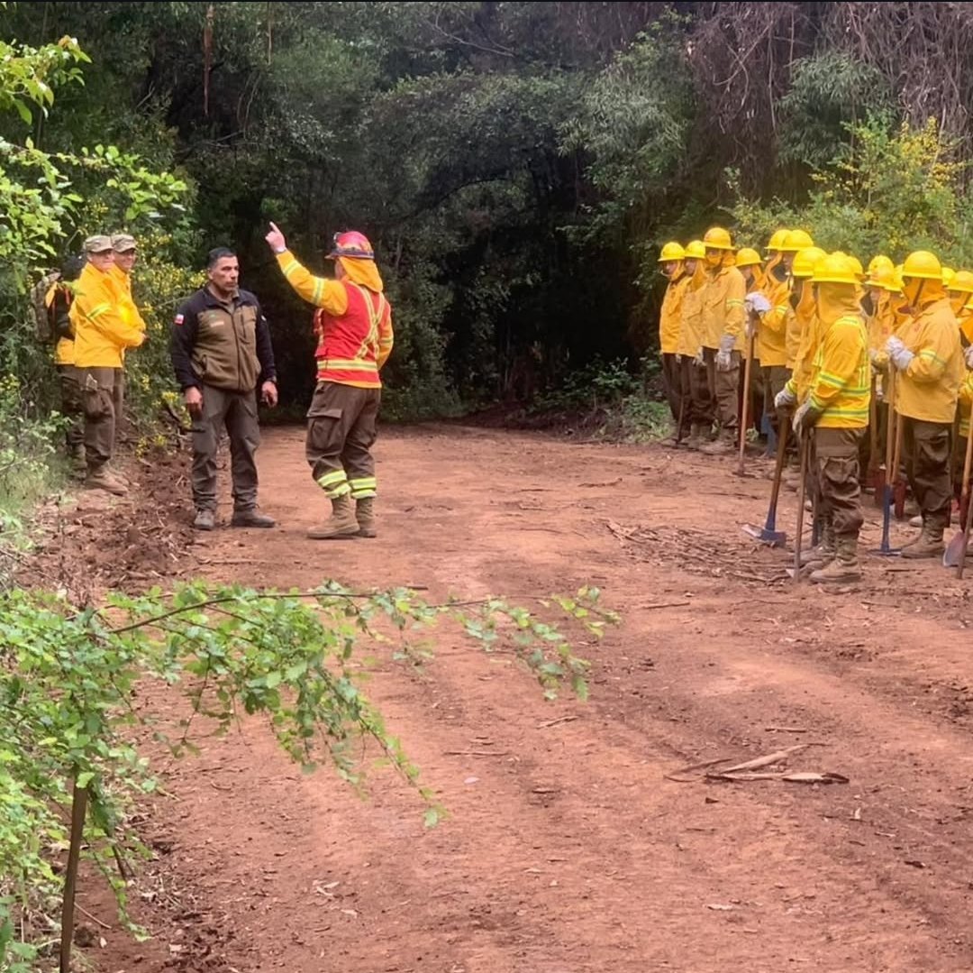 CONAF La Araucanía tweet media