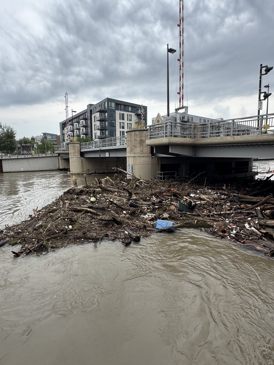 Brendan Johnson tweet media