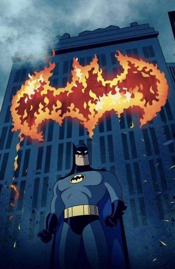 TheBatPics (@thebathome) on Twitter photo 