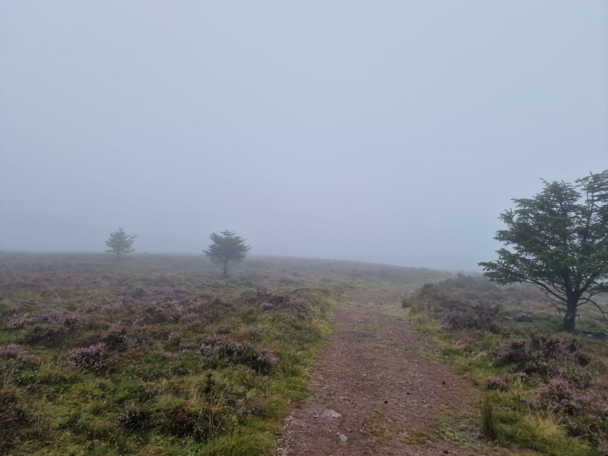 Fei Sheehy Hillwalking Challenge tweet media