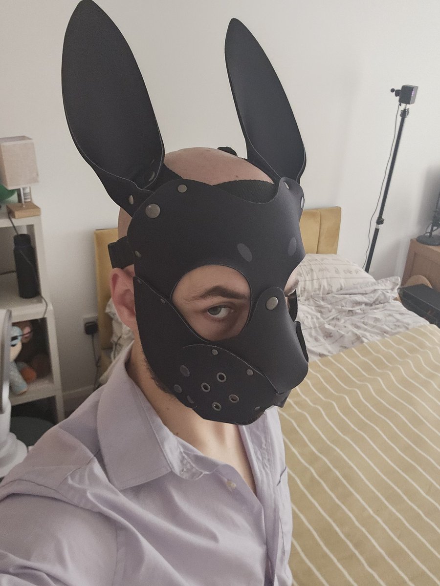 BellsTheBunny's tweet photo. The Suit + Bunn Mask combo is unrivalled 😎 https://t.co/cXaWuuumfb