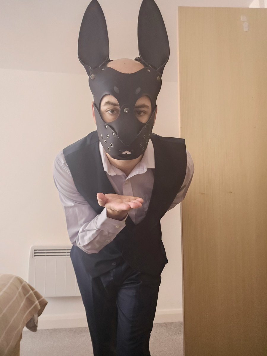 BellsTheBunny's tweet photo. The Suit + Bunn Mask combo is unrivalled 😎 https://t.co/cXaWuuumfb
