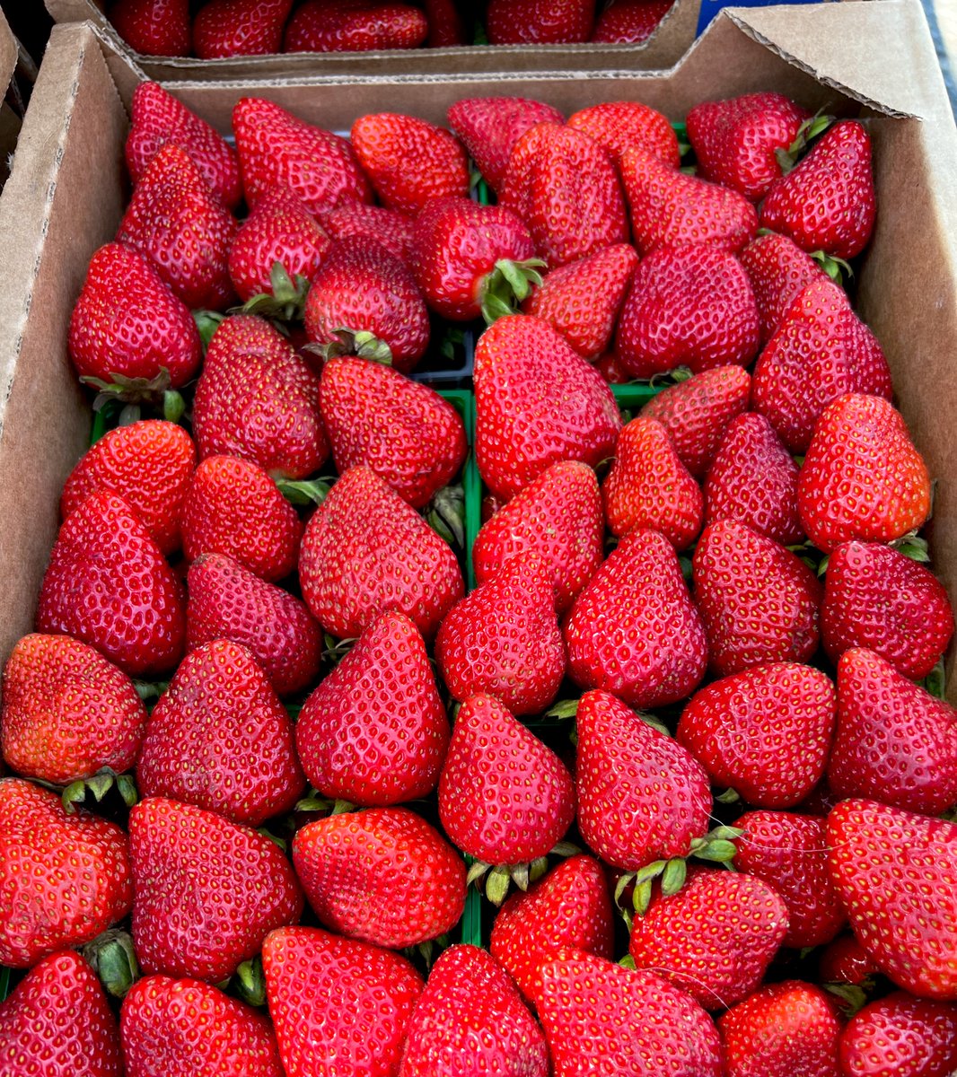 ⟠Palis⟠🐍 tweet media