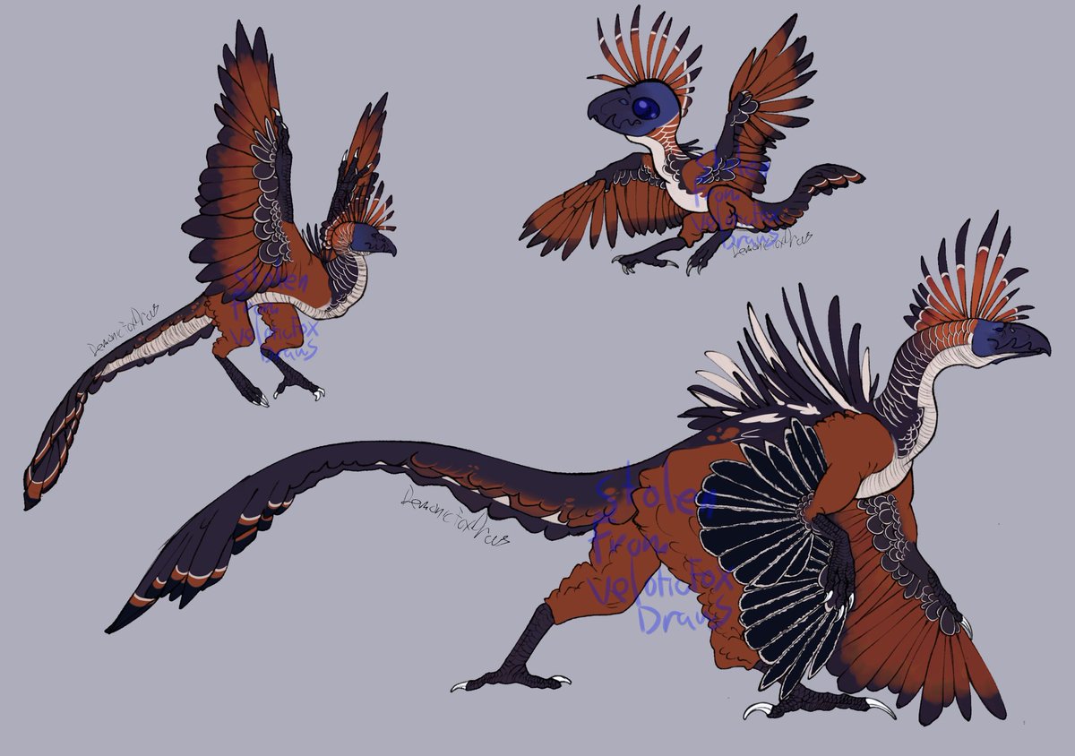 VeloticModels's tweet photo. Selling this stinkbird dragon themed Adopt on toyhouse :> 35 dollars willing to drop to 30 taking payment via venmo,cashapp,paypal,or kofi 
Comment to claim! 
https://t.co/7XTz5Ee5PT
Will be doing more adopts in the future
#adopt #dragon https://t.co/kGbjl9XQgY