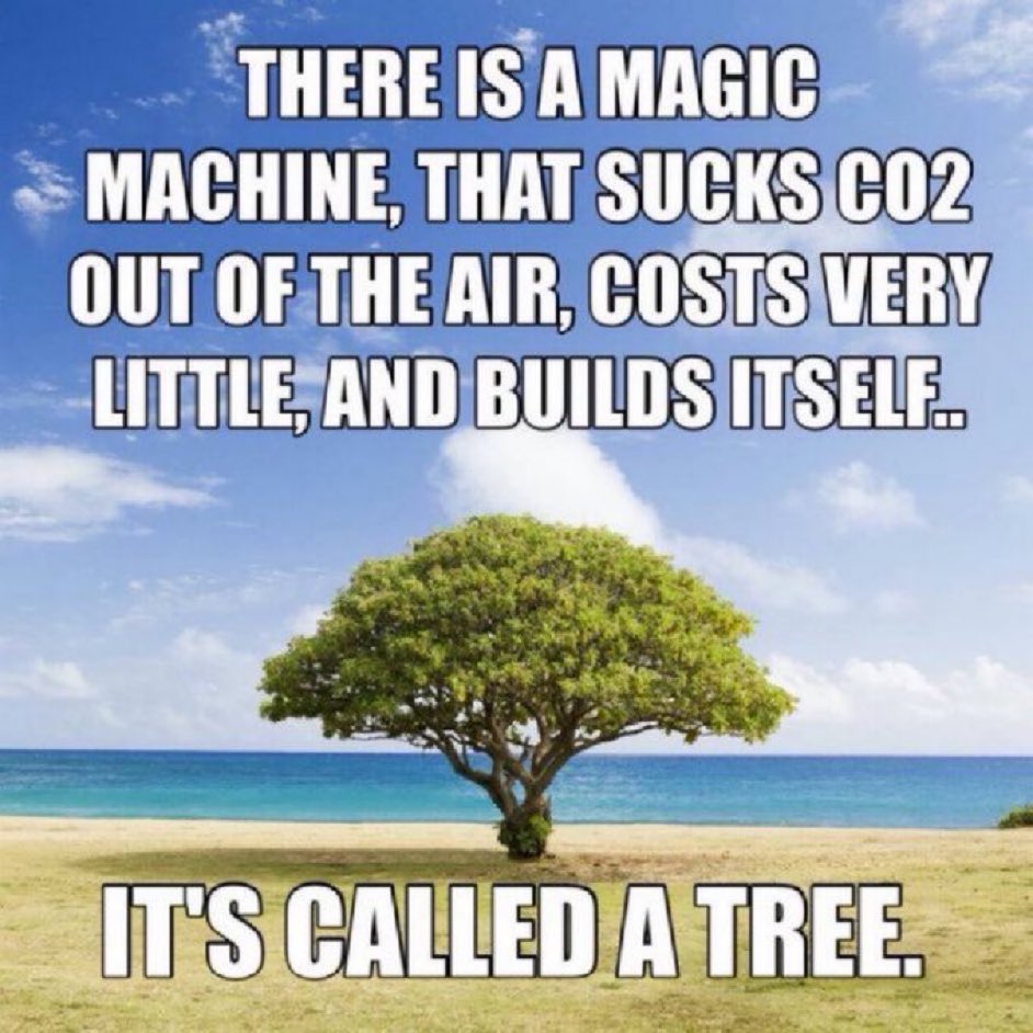 James Melville 🚜 (@jamesmelville) on Twitter photo 
