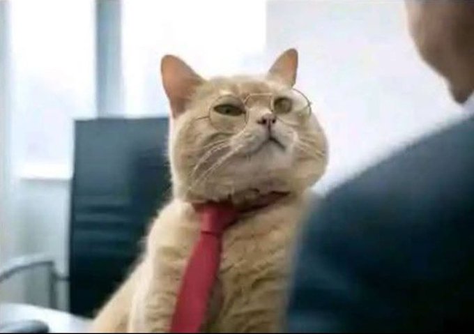 Him; Why do you need this job?

Me: Why did you advertise it?