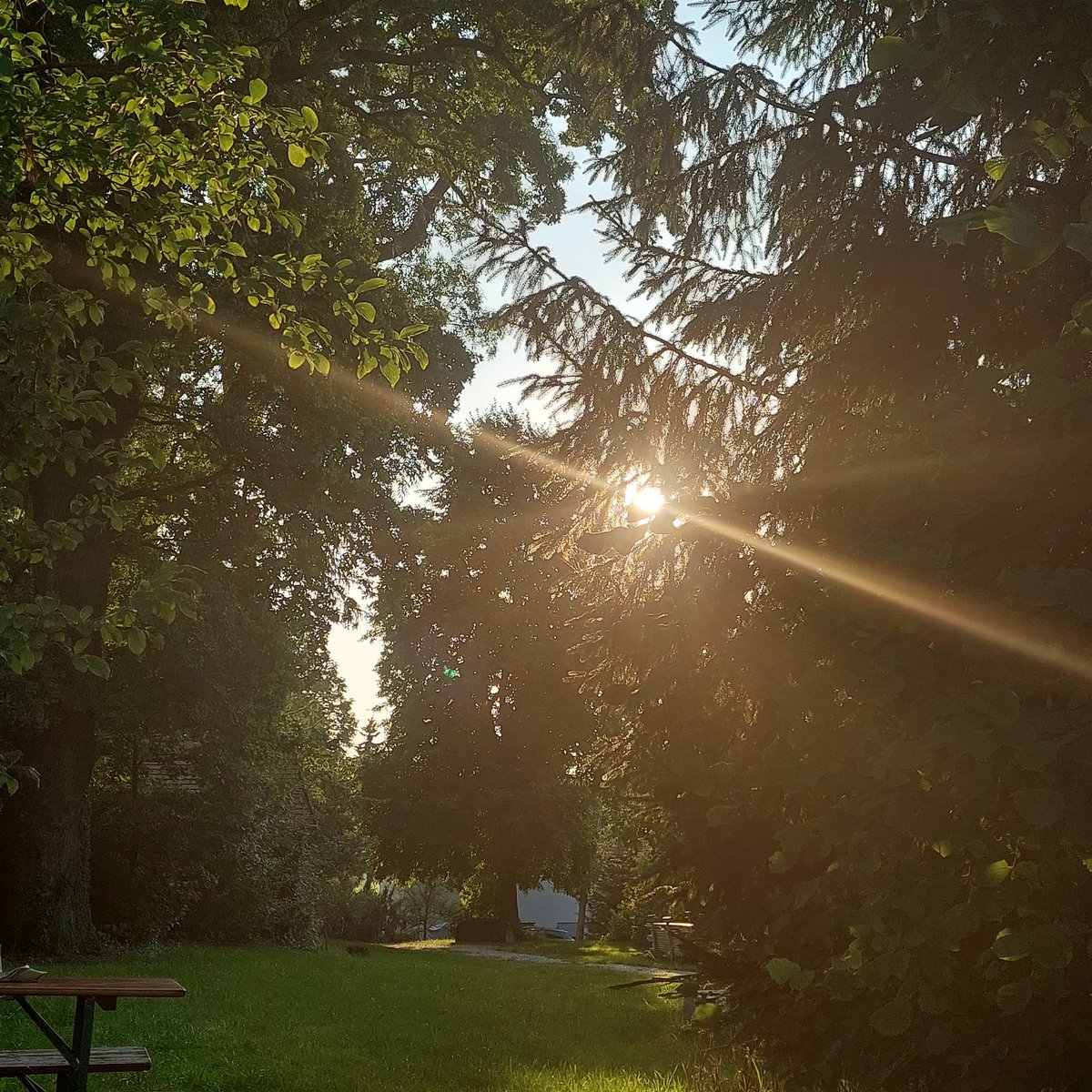 Evening Mood 
Sun Evening