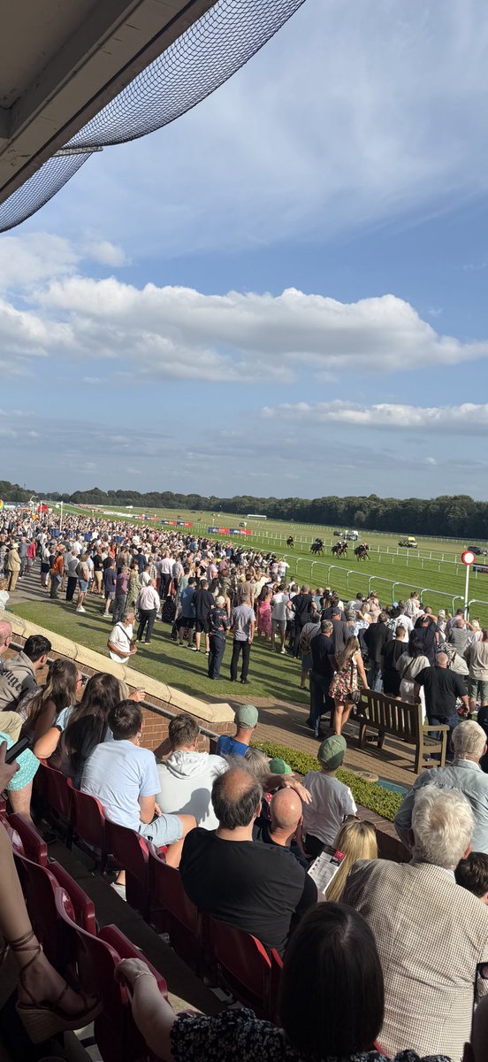 StephenFisher_'s tweet image. Superb day at @haydockraces in the sun!! ☀️🐎