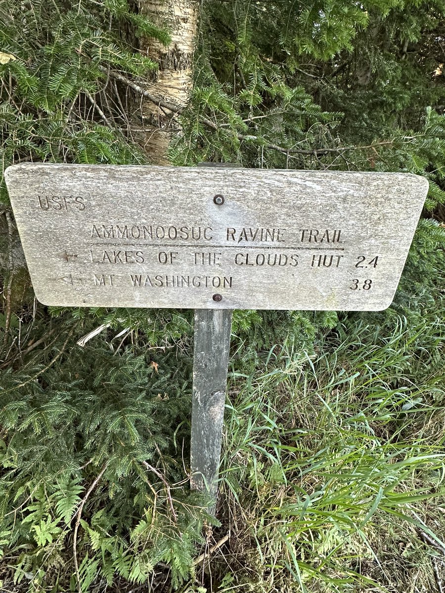 Mark Followill tweet media