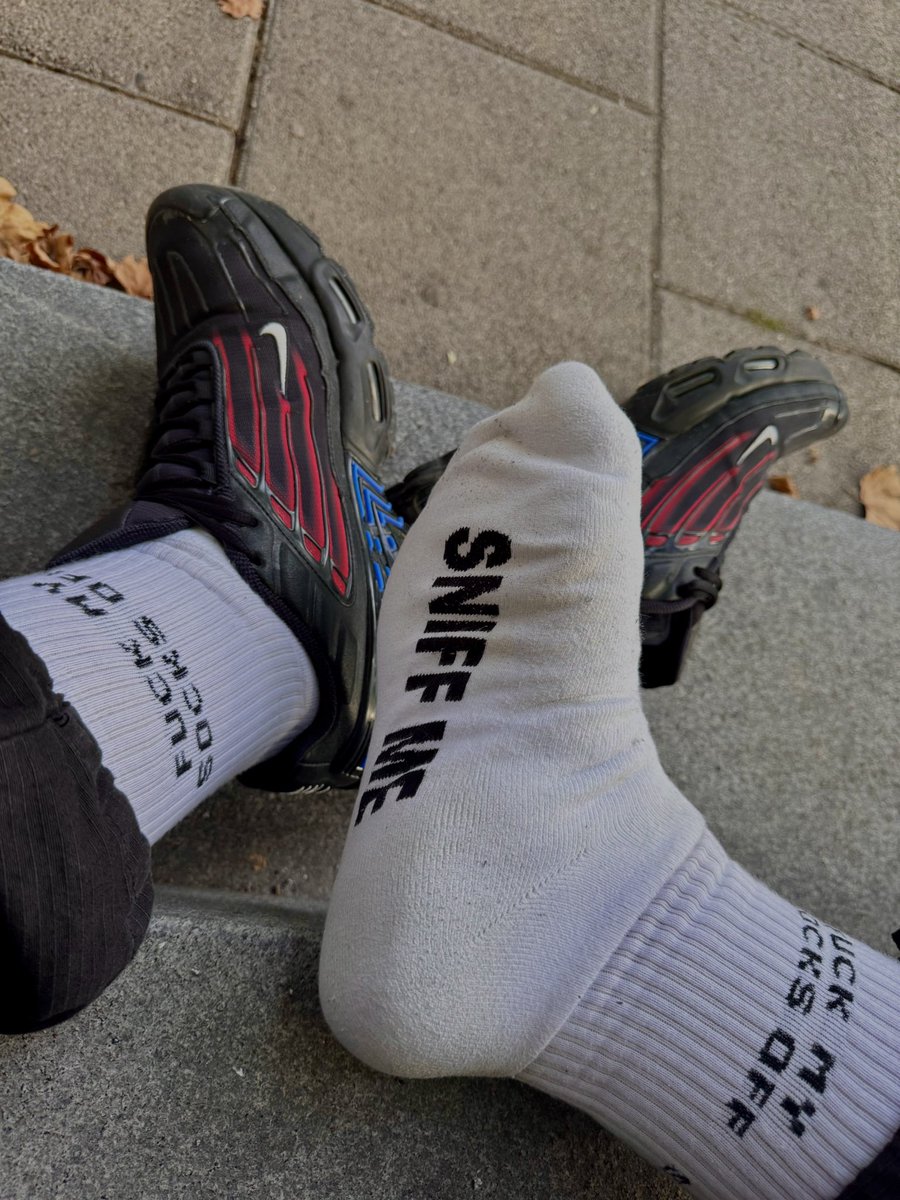 nikesk8's tweet photo. Sunny Sunday 🥰 https://t.co/v3RdClXvcd