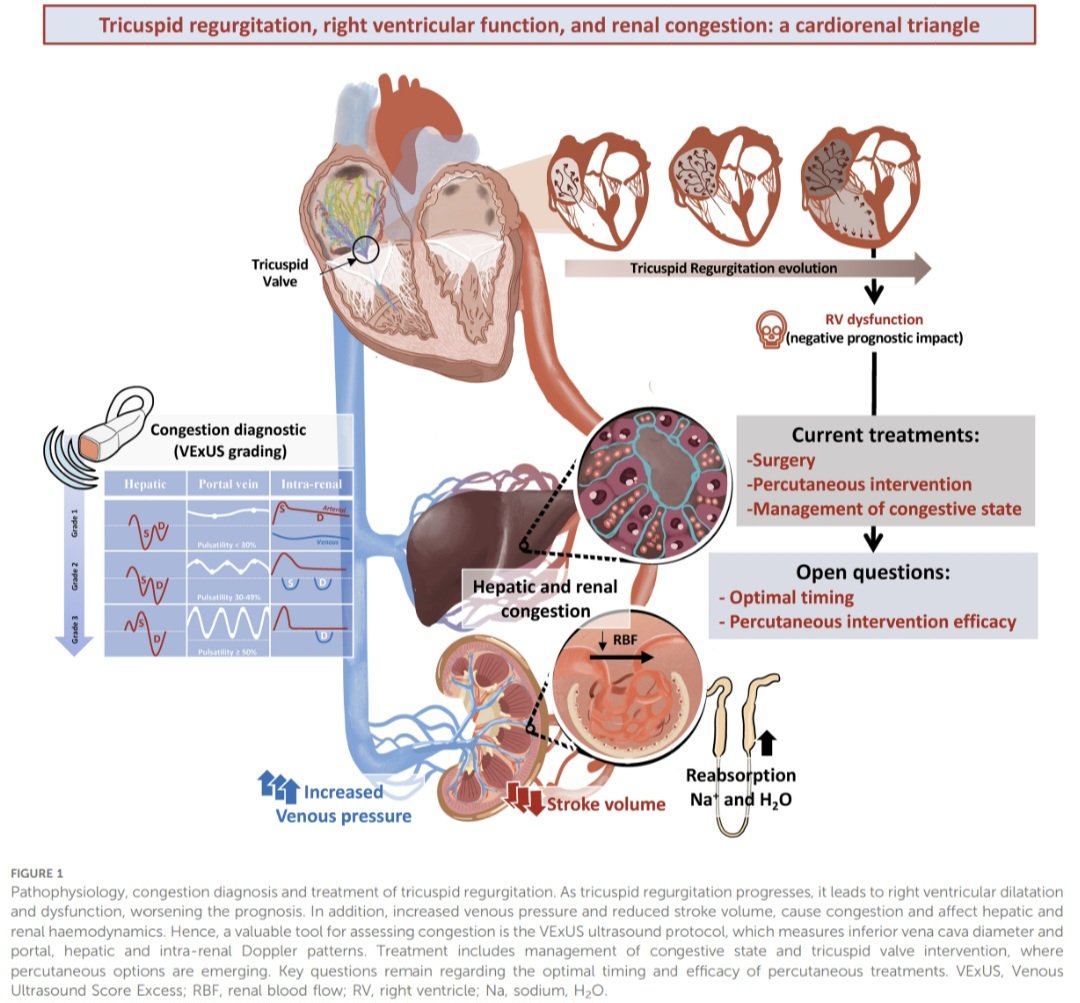 Dr. FEVI🫀🩺 tweet media