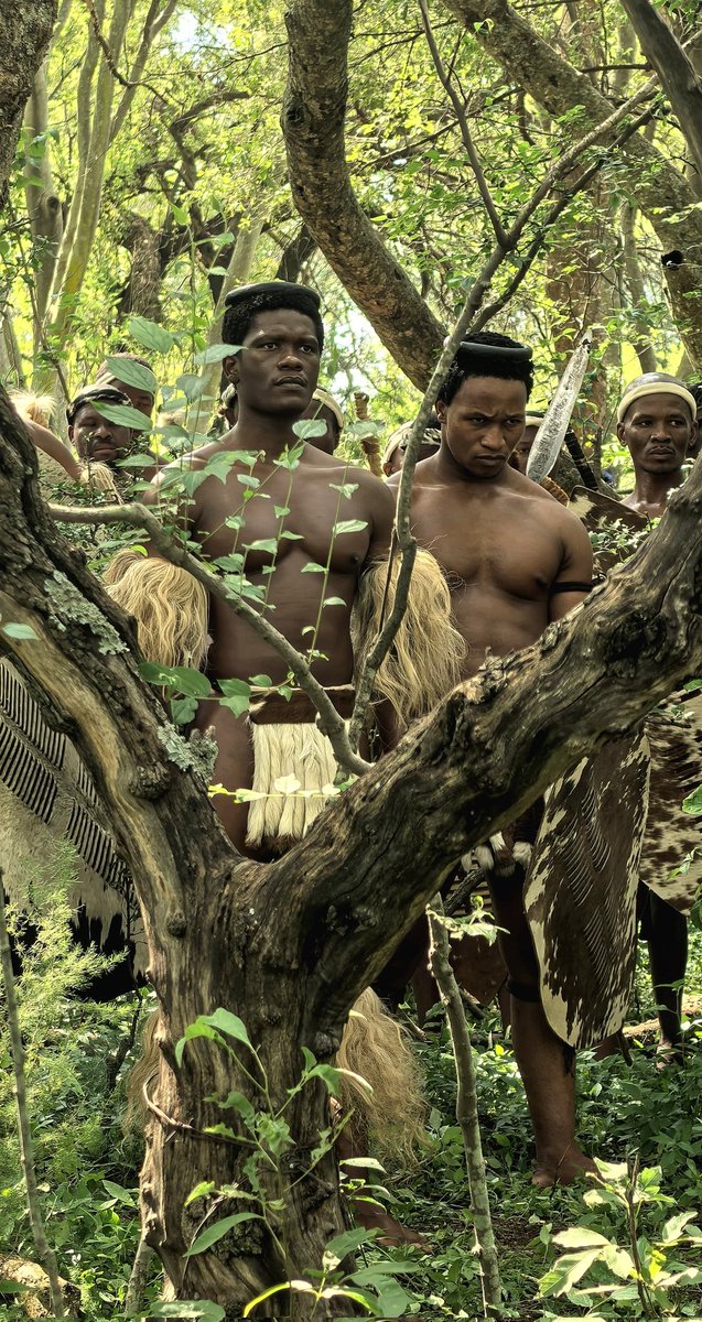 The beginning of Shaka and Mzilikazi.
#ShakaiLembeS2