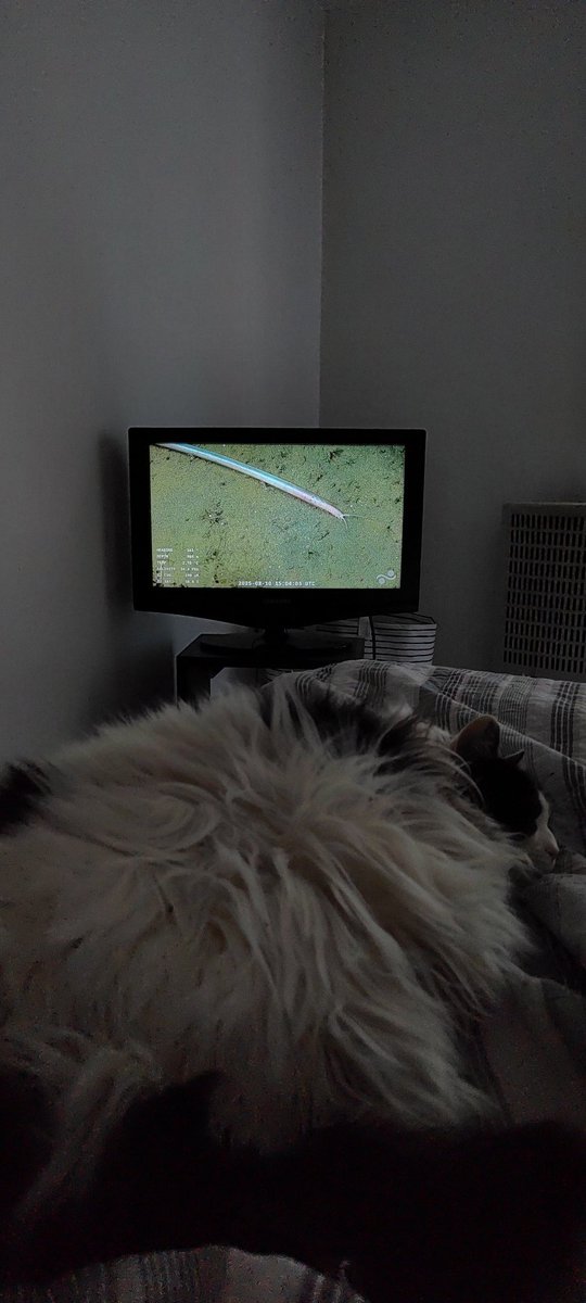 Lo que voy a extrañar este stream de ciencia... Una hermosura. Aguante el CONICET y la ciencia argentina, a pesar de todo.